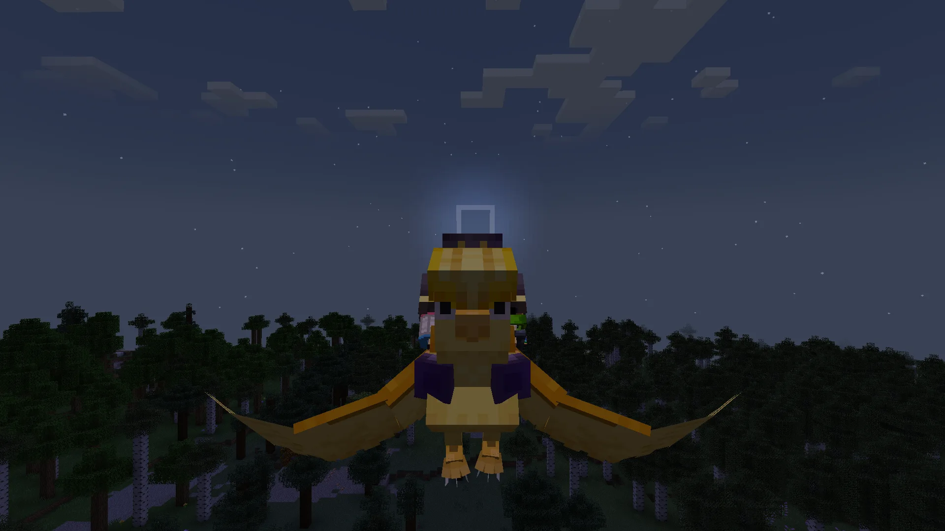 Riding Shiny Pidgeot
