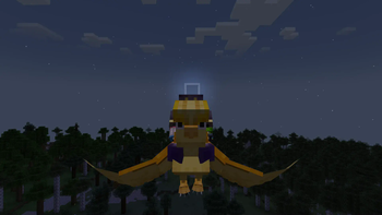 Riding a Shiny Pidgeot