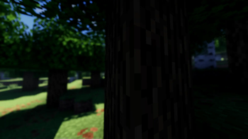 Depth Of Field