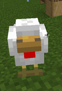 chicken