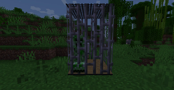 Creeper in cage