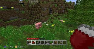 Gameplay 1