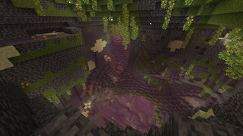 Into the depths