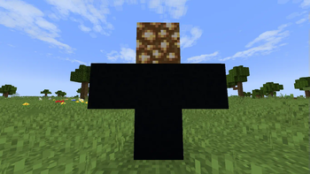 Dummy Showcase: Dummy Totem