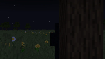 Dummy Showcase: Nighttime