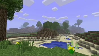 Ordinary beta landscape!