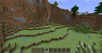 New appearance of grass