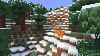 snowy taiga