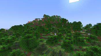 forest
