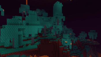 warped forest