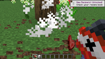 The mace after killing a sheep