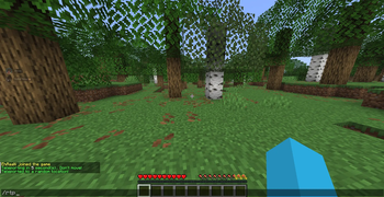 SimpleRtp+