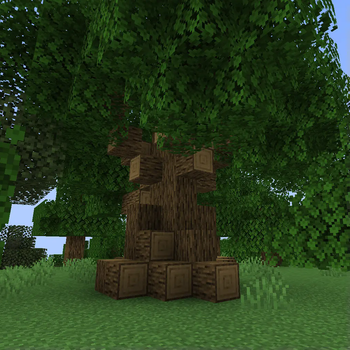 Large Oak Tree