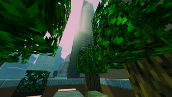 Forest Light Beams