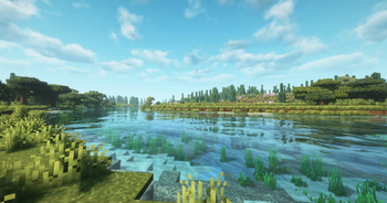 Plains