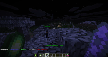 Salem & Silver slippers 