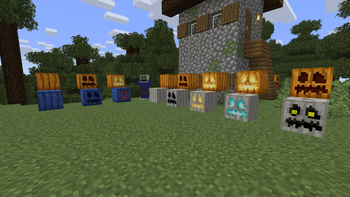 Pumpkin line up