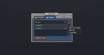 Team Window