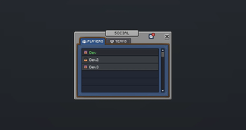 Player Window