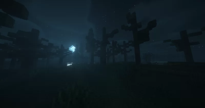 swamp at night