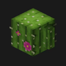 Remodeled Cactus