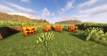 Carved Pumpkin Variants