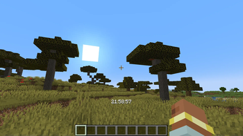 Acacia Forest
