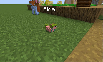 child pony