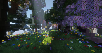 Rainbow Forest