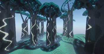 Warp Forest