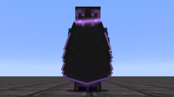 custom elytra