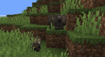 Pog Wombats — screenshot 1