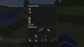 Double Chest