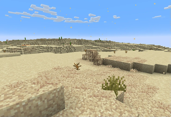 revamped desert