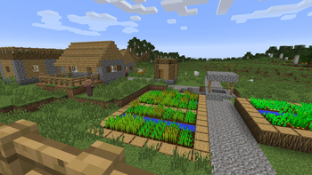 Village Vanilla