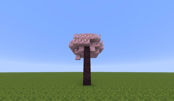 cherry tree