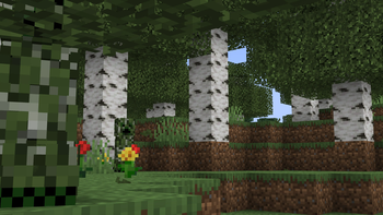 Birch Biome