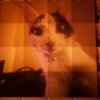 Reys Catpaintings