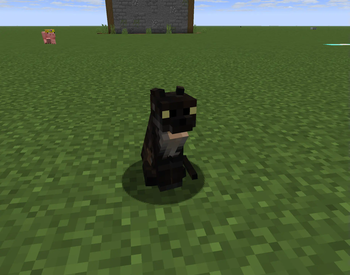 freshanimations support!!