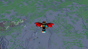 Elytra