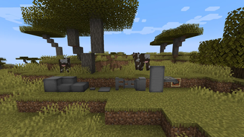 Added Extras — screenshot 2