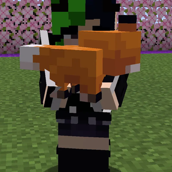 Carrying Noodle