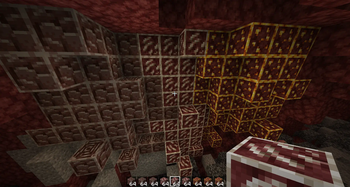 nether