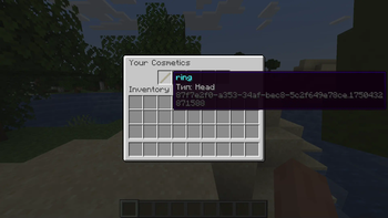 Cosmetic inventory