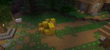 Village with mod activated
