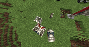 Item on Ground