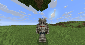 Armor on Player