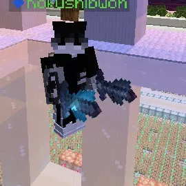netherite + netherite-iron sword