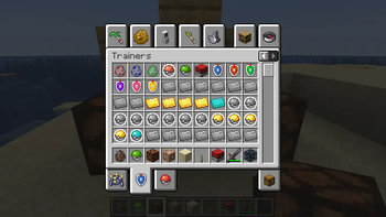 Items