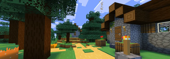 banner
